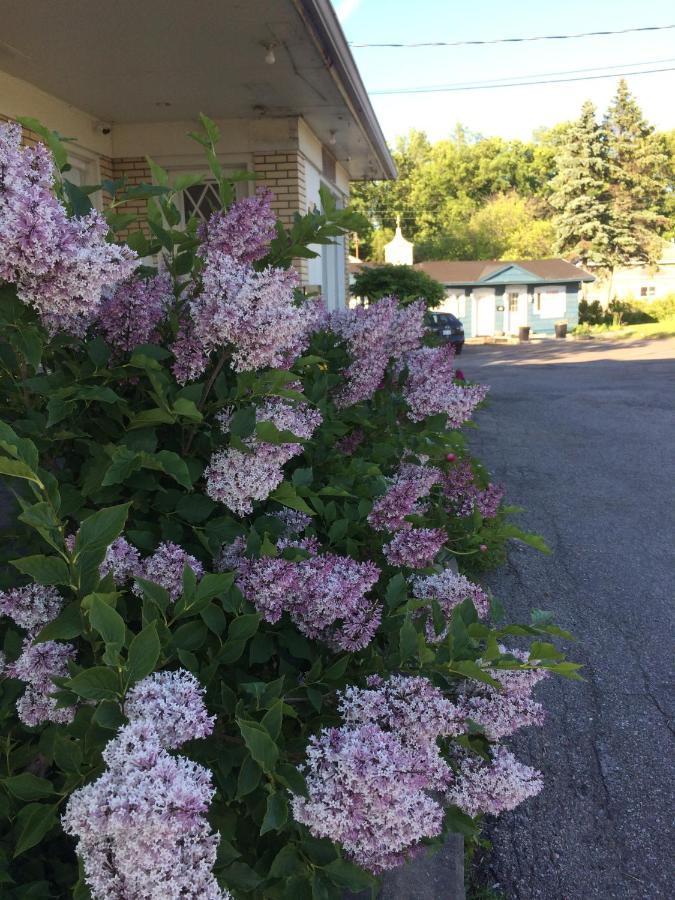 Motel Le Jardin Québec Kültér fotó